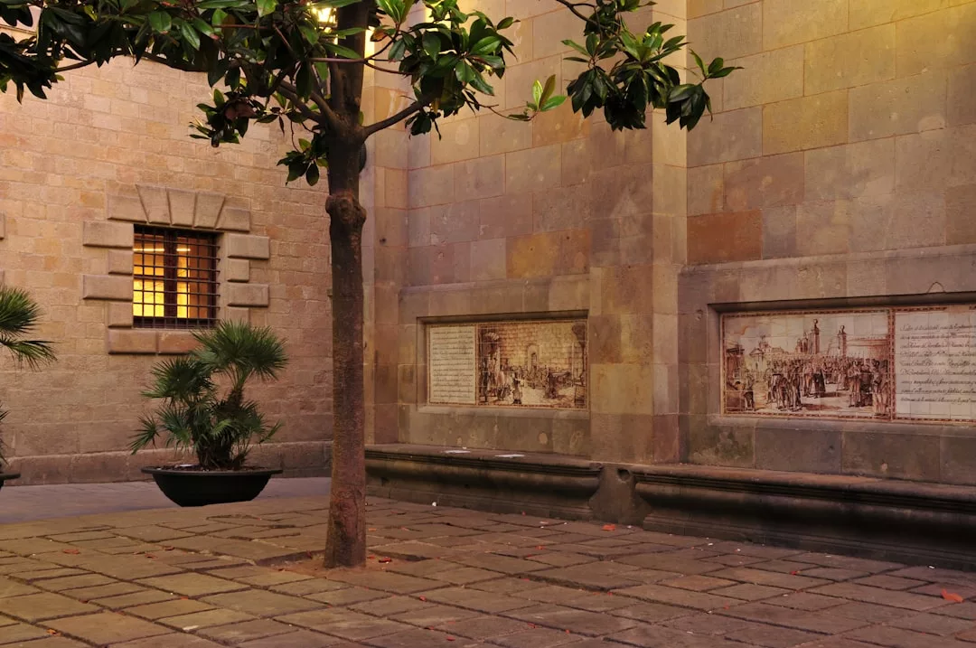 In einem steinernen Innenhof auf Mallorca stehen ein zentraler Baum, Topfpflanzen, ein vergittertes Fenster und zwei große Wandmalereien auf dem Steingebäude.