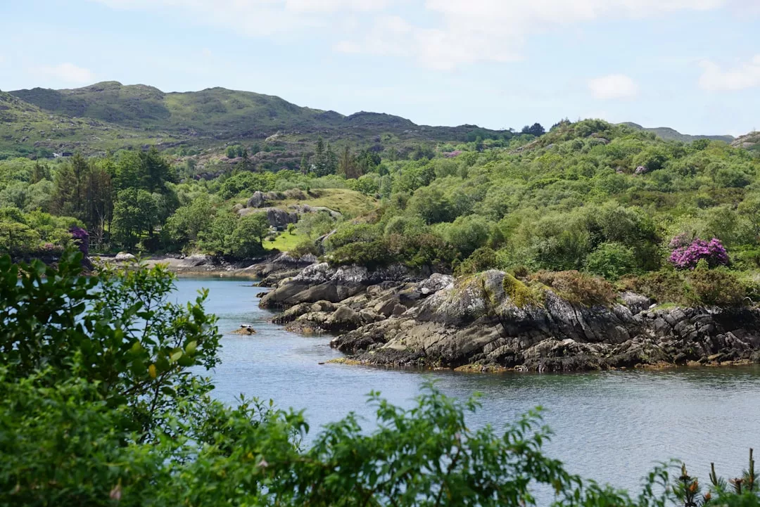 Ein ruhiger Fluss mit felsigen Ufern und üppig grünen Hügeln im Hintergrund unter einem teilweise bewölkten Himmel, der an die ruhigen Landschaften Mallorcas erinnert.