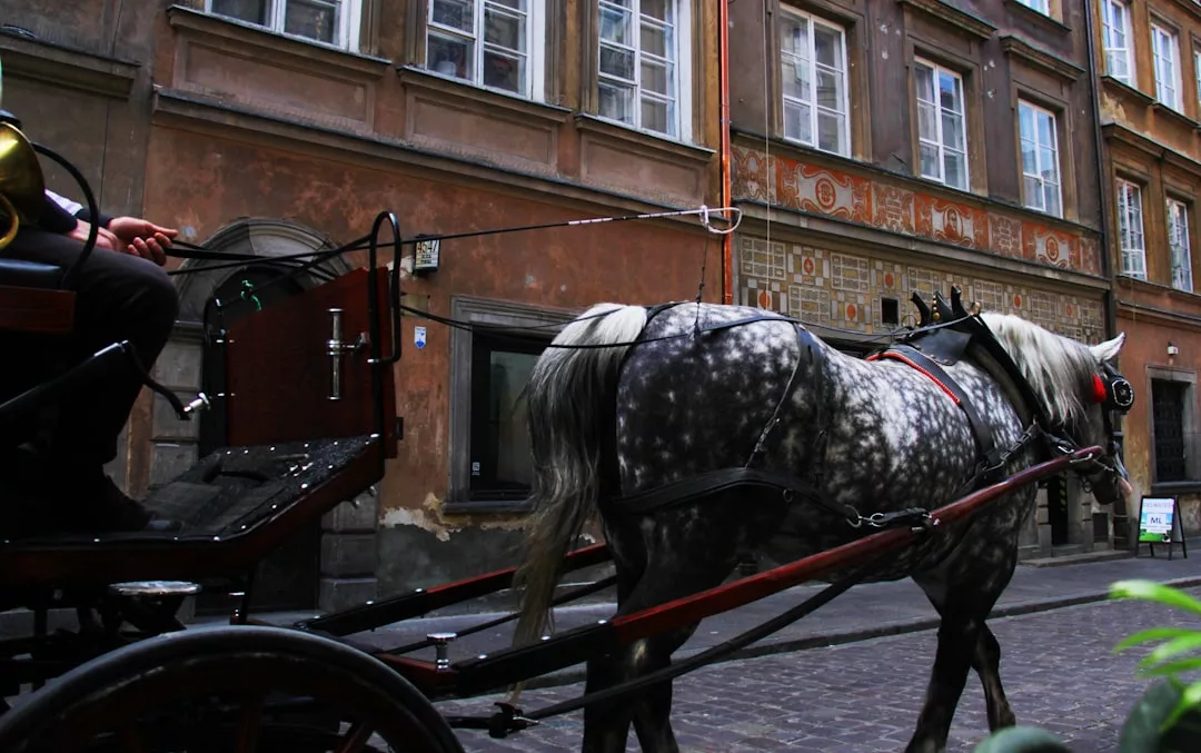 Eine Pferdekutsche mit einem gefleckten Schimmel fährt auf einer Kopfsteinpflasterstraße neben historischen Gebäuden auf Mallorca.