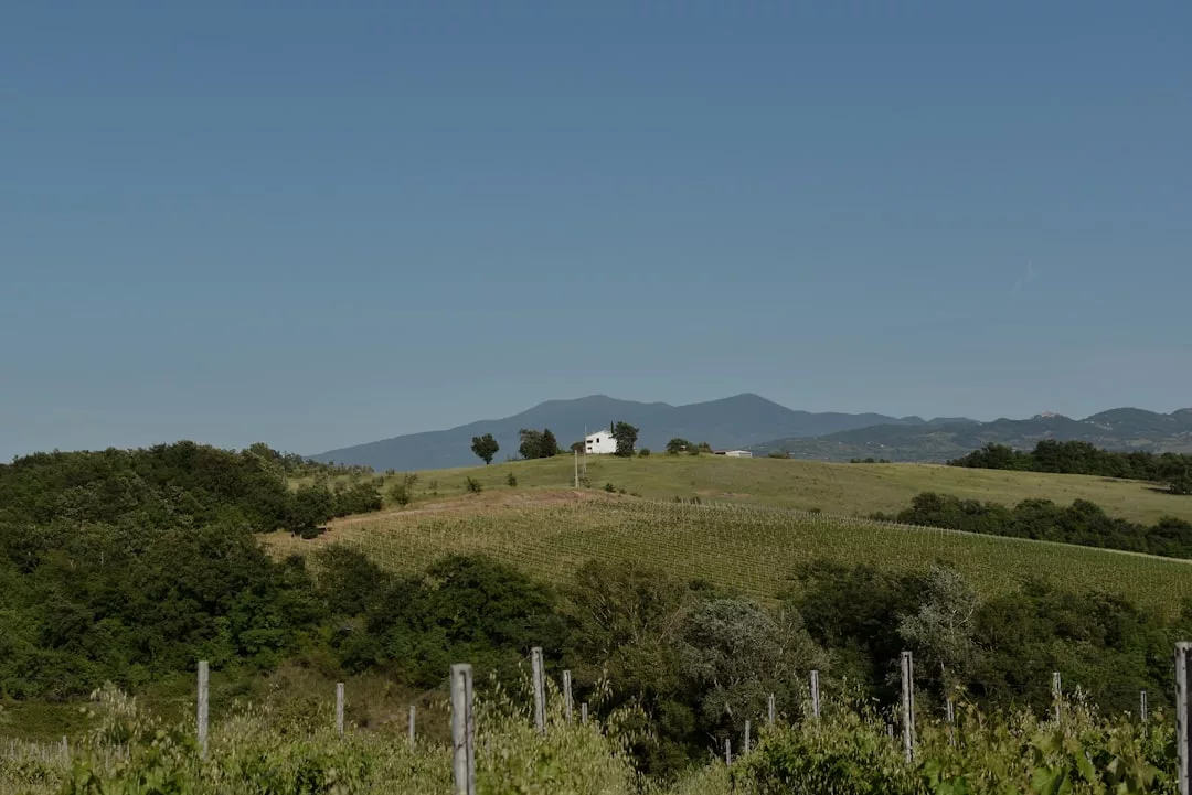 Ein weißes Haus steht auf einem grünen Hügel, umgeben von Bäumen und Feldern auf Mallorca. Im Hintergrund sind die Berge unter einem klaren blauen Himmel zu sehen.