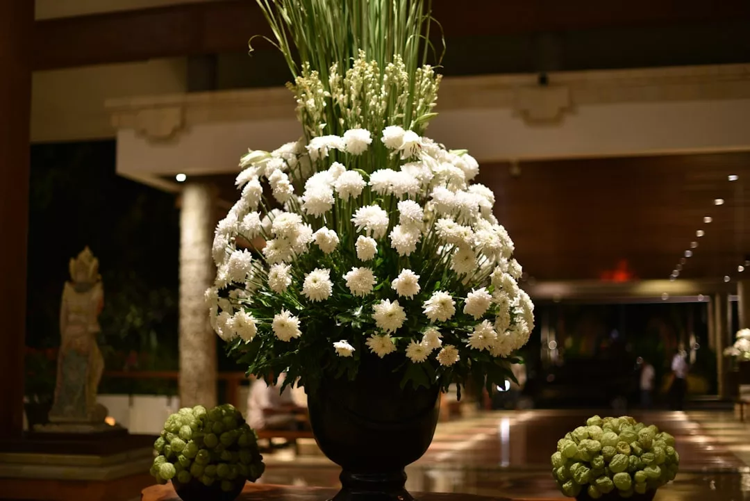Ein großes Blumenarrangement mit weißen Chrysanthemen und hohem grünem Gras in einer Vase, umgeben von kleinen grünen Fruchtbüscheln, erinnert an die ruhige Schönheit Mallorcas, alles in einem Innenraum mit sanfter Beleuchtung.