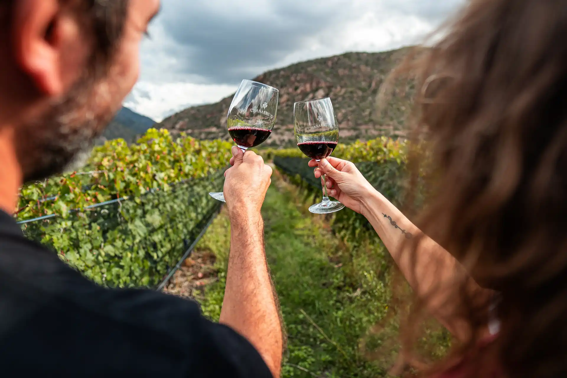 Wein & Bodega-Privattouren – Edle Tropfen aus Mallorcas Spitzenweingütern