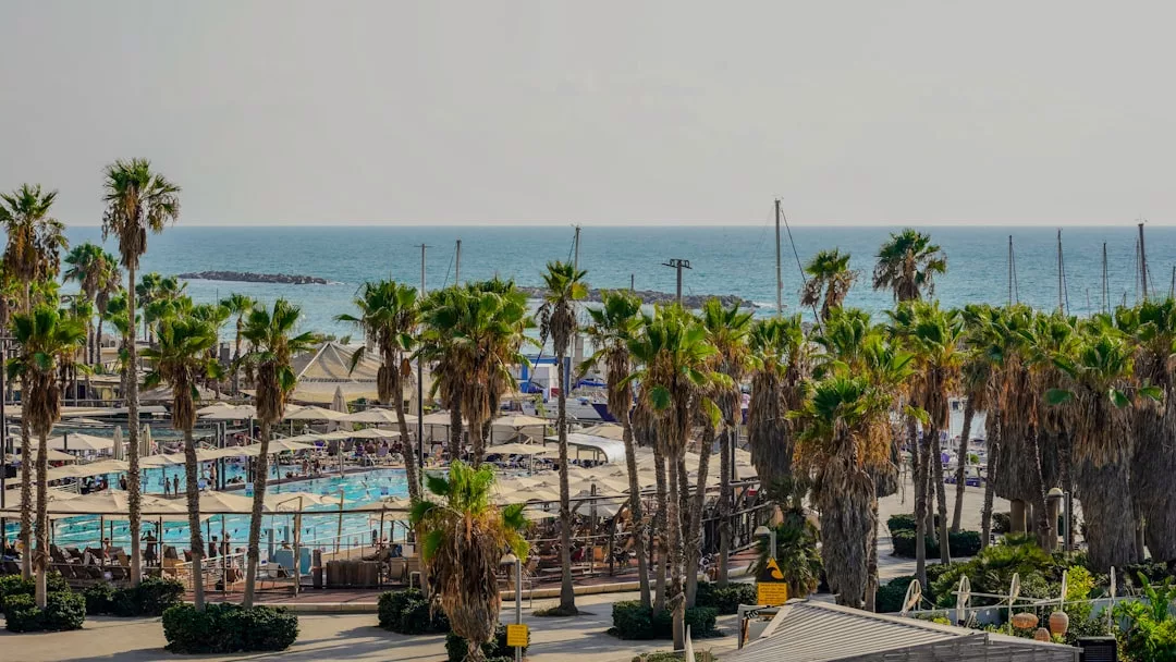 Genießen Sie einen atemberaubenden Blick auf den Strand von Mallorca mit Palmen, einem glitzernden Swimmingpool, Liegestühlen und Sonnenschirmen, die an klaren Tagen das Meer überblicken.