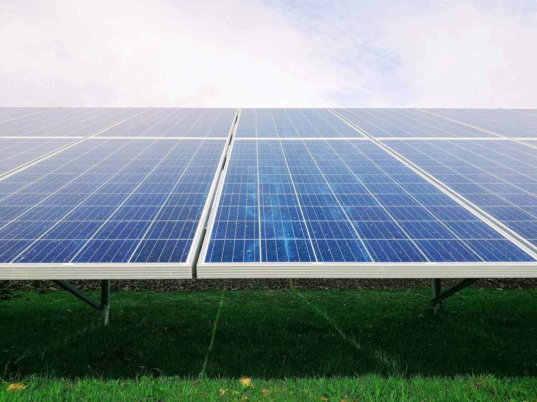 Auf einer Wiese auf Mallorca sind bei bewölktem Himmel Reihen von blauen Solarmodulen installiert.