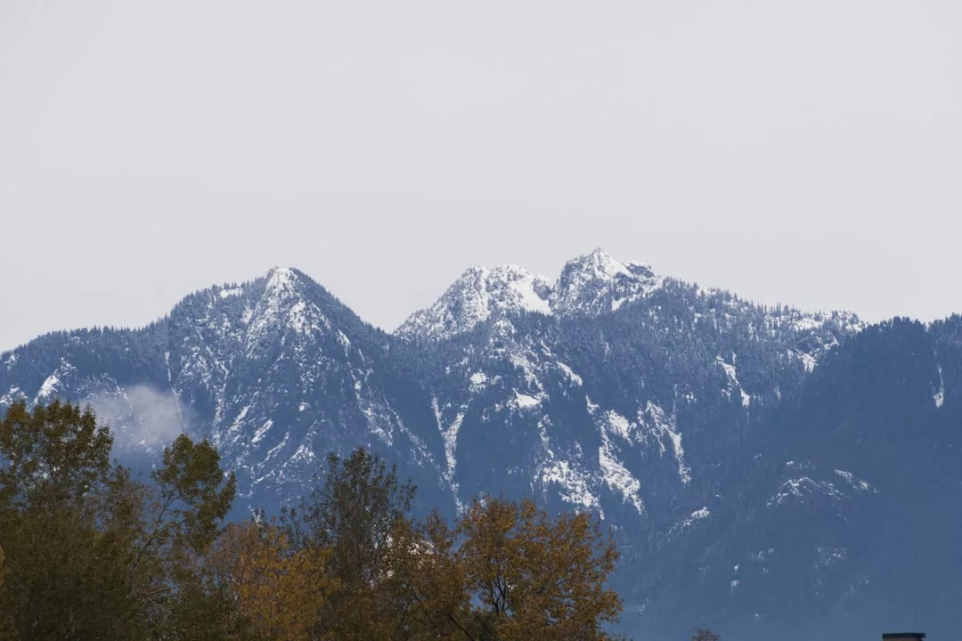Schneebedeckte Berggipfel unter klarem Himmel und Bäume mit Herbstlaub im Vordergrund, die an die malerischen Landschaften Mallorcas erinnern.