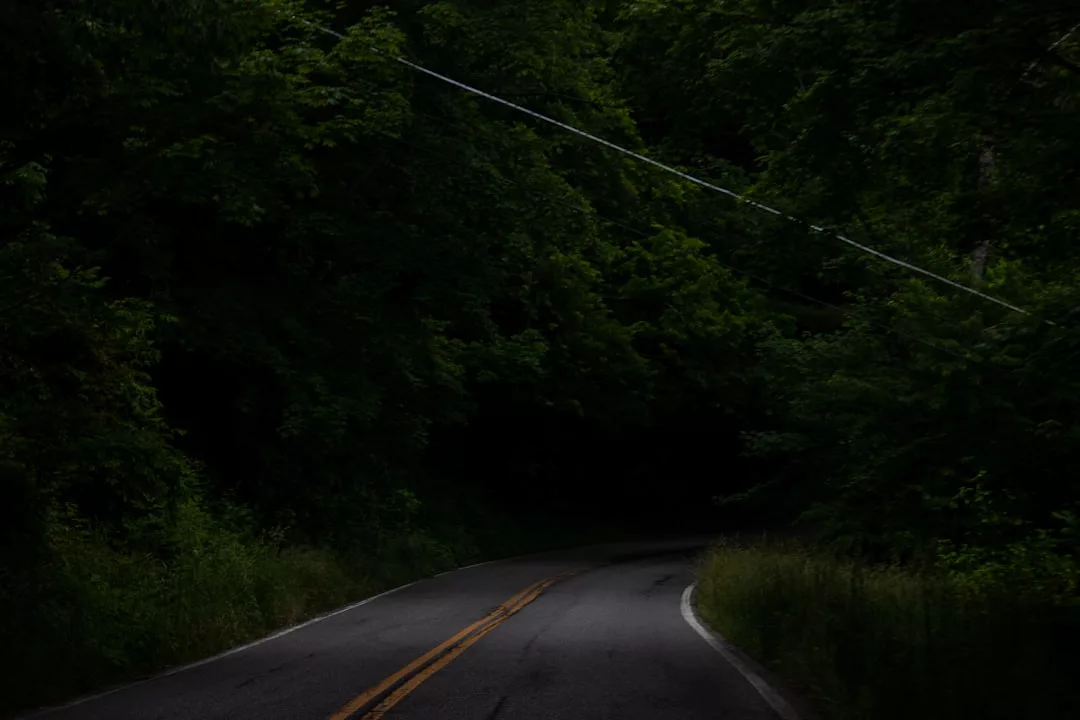 Eine schmale, kurvenreiche Straße mit doppelten gelben Linien führt durch dichte, dunkelgrüne Bäume, die teilweise in Schatten gehüllt sind - eine Szene, die an die versteckten Landstraßen Mallorcas erinnert.